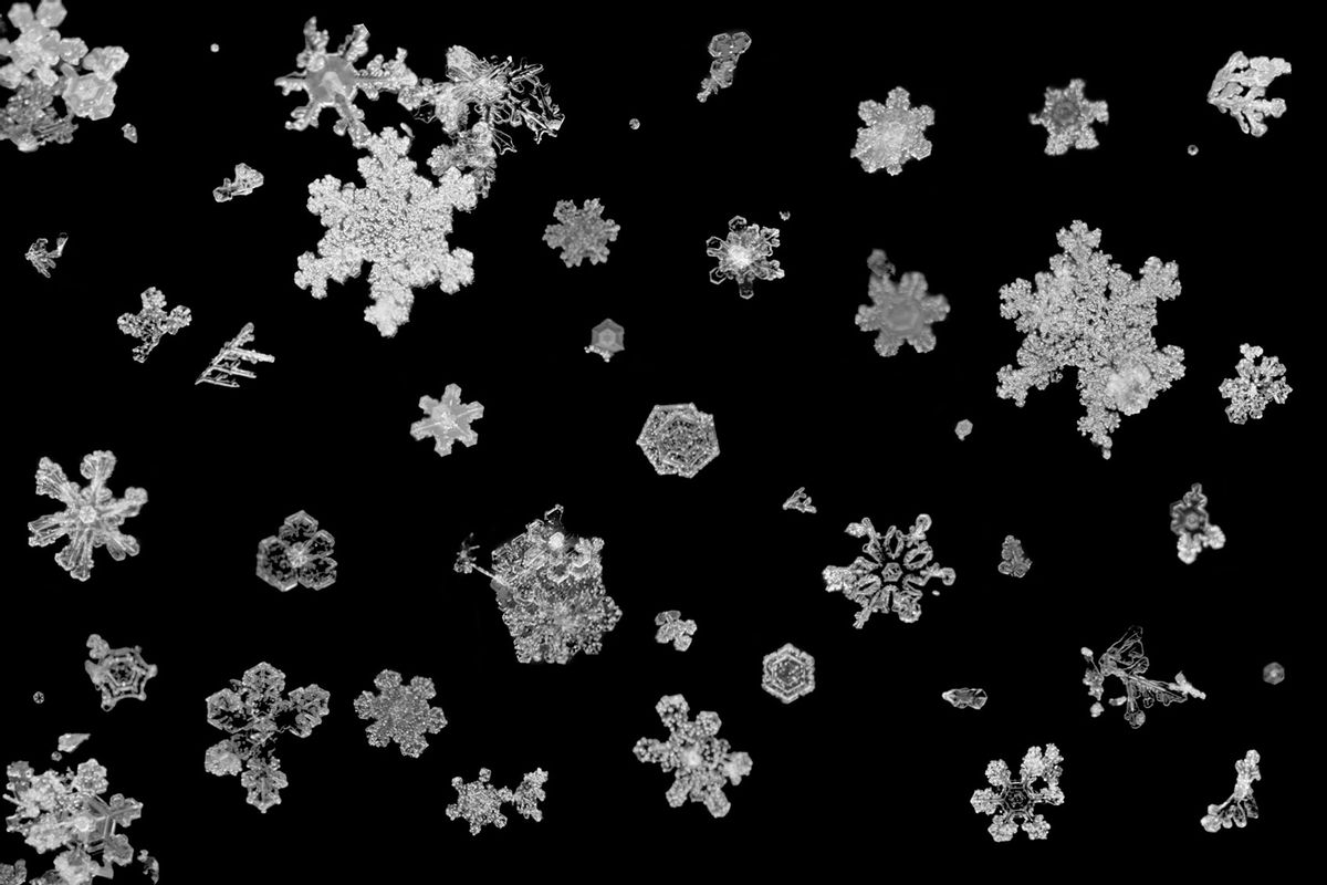 Snowflakes (Getty Images/breckeni)