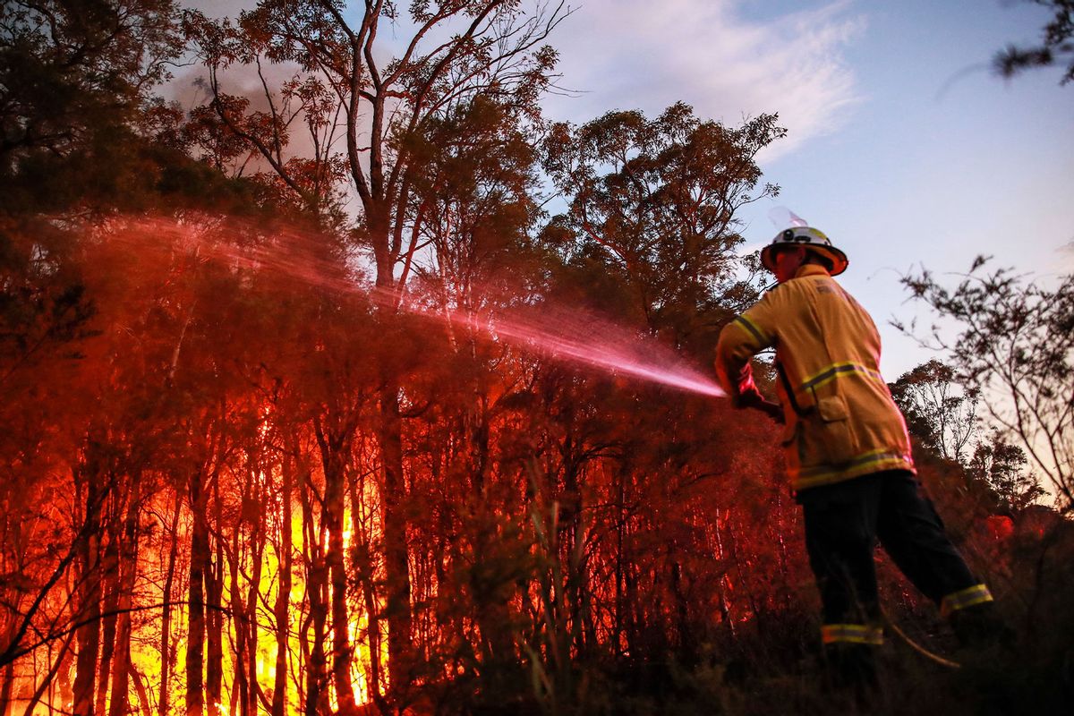 NSW Rural Fire Service firefighter attempt to extinguish a bush fire at West Wallsend on December 14, 2023 in Newcastle, Australia. (Roni Bintang/Getty Images)