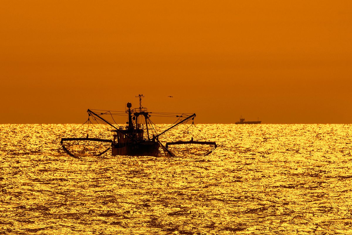 Bottom trawler, fishing boat sailing along the North Sea coast silhouetted against orange sunset in front of Nieuwpoort, Flanders, Belgium. (Arterra/Philippe Clément/Universal Images Group via Getty Images)