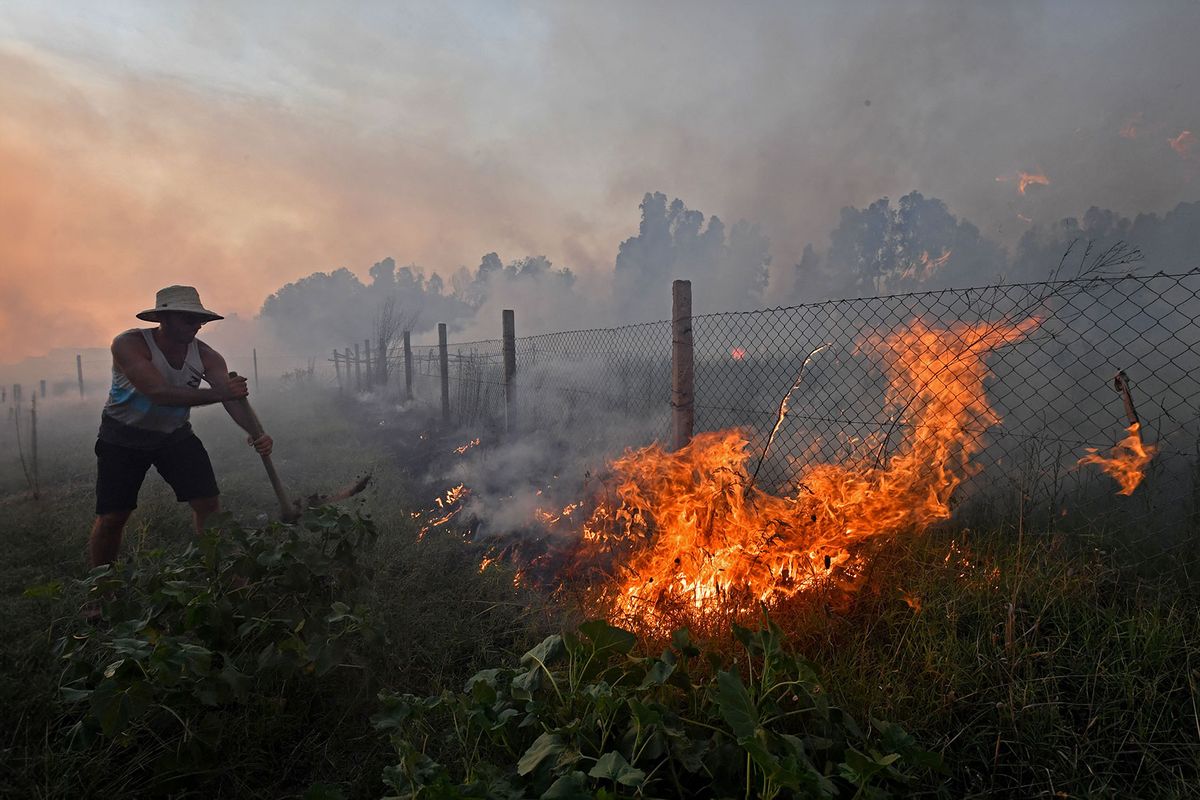 A resident tries to extinguish a fire in the northwestern coastal town of Tabarka amidst a blistering heatwave on July 24, 2023. (FETHI BELAID/AFP via Getty Images)
