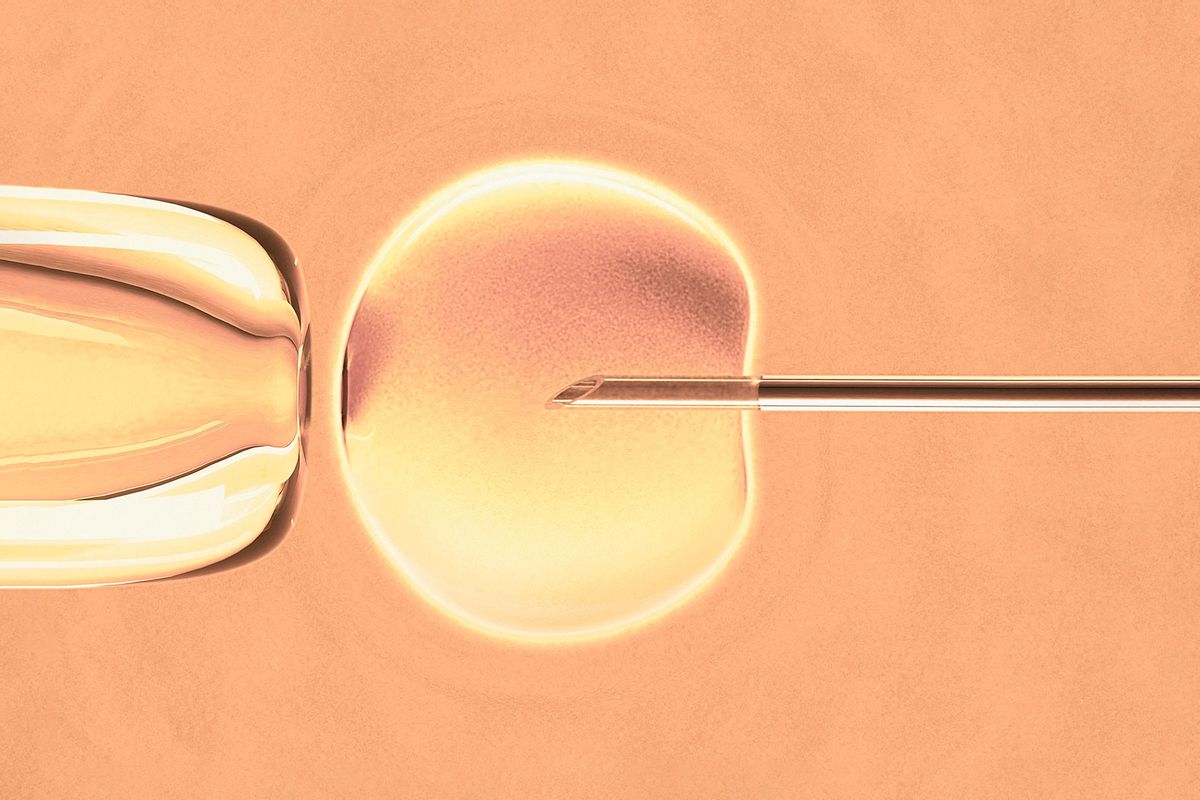 In vitro fertilisation, artwork (Getty Images/KTSDESIGN)