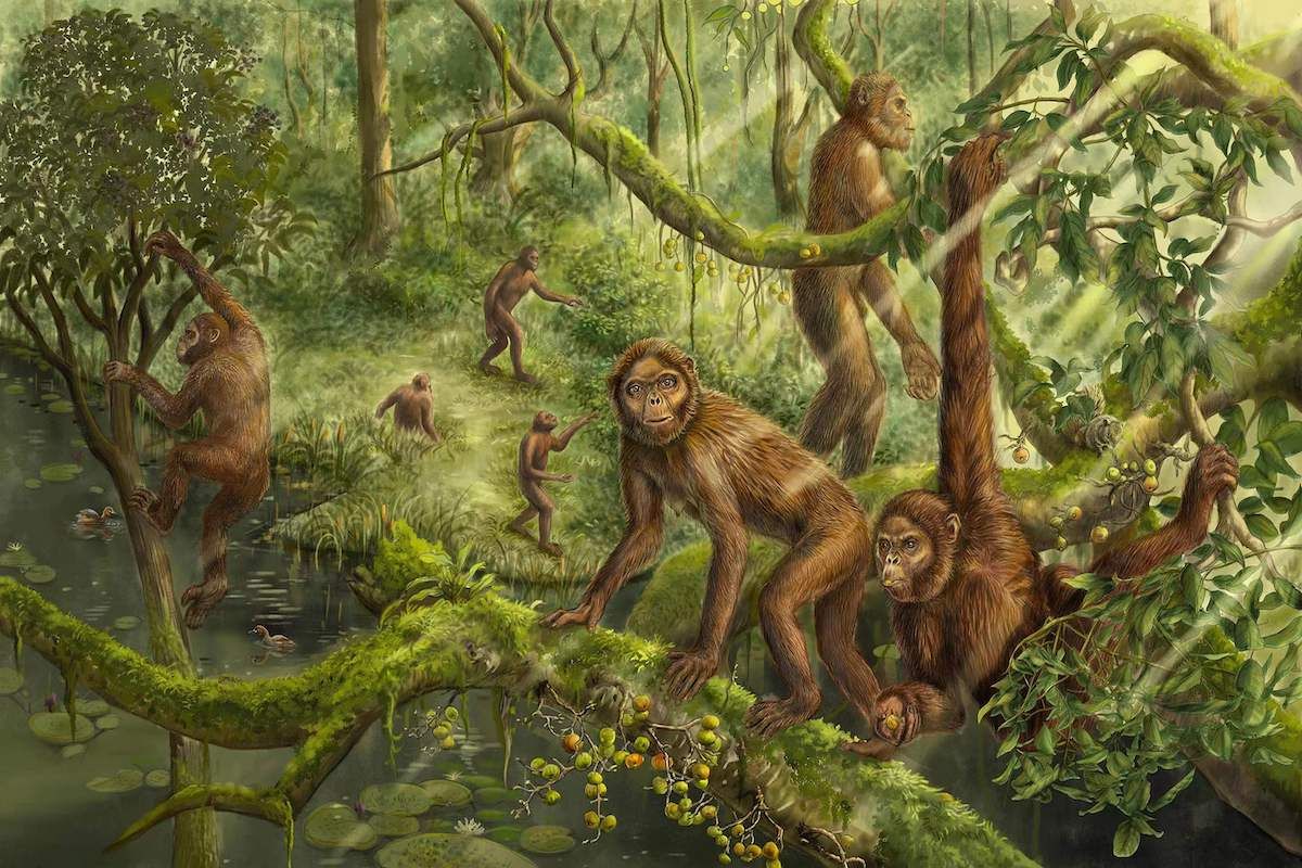 The ecological restruction of Lufengpithecus (IVPP)