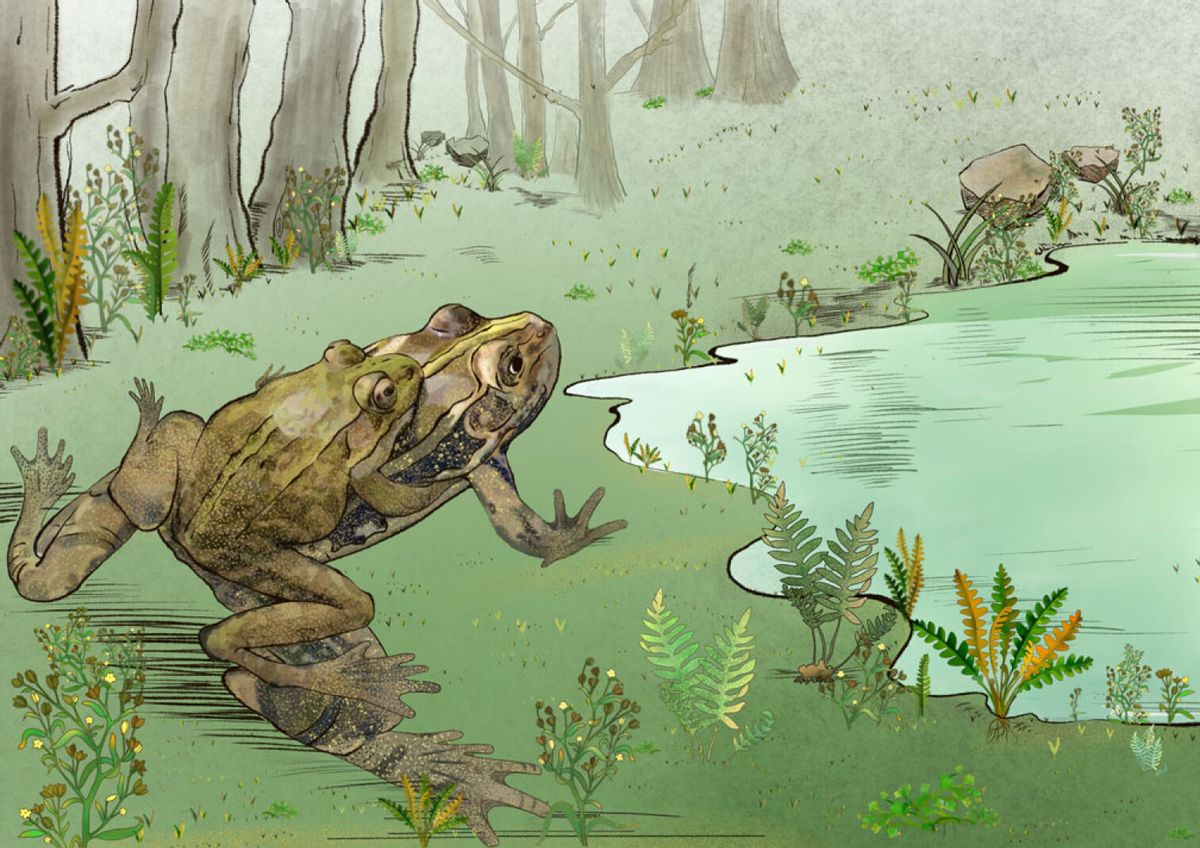  Reconstructed Early Cretaceous living environment of the Gansubatrachus qilianensis. (Baoxia Du et al., Royal Society B: Biological Sciences, 2024 )