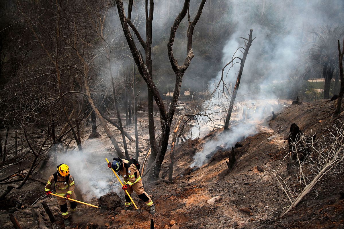 Firefighters work at the Botanical Garden after a forest fire in Viña del Mar, Chile, on February 4, 2024. (JAVIER TORRES/AFP via Getty Images)