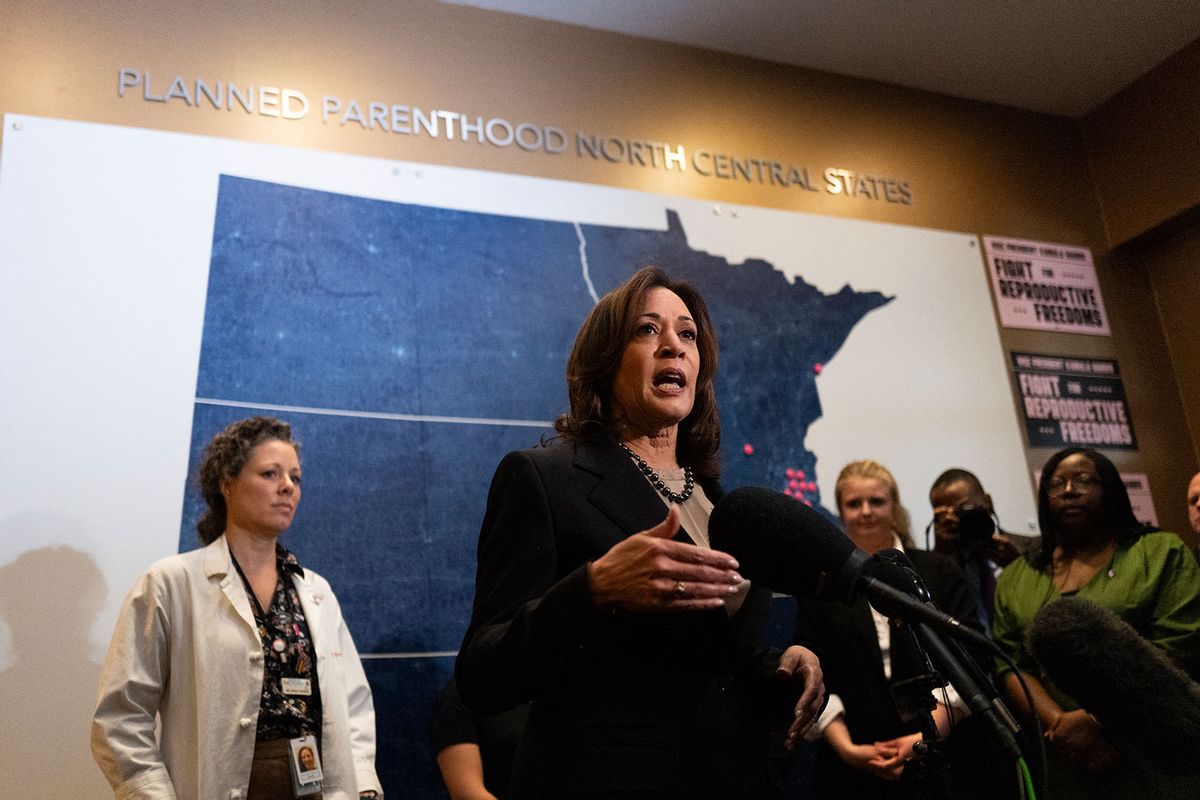 US Vice President Kamala Harris speaks during her visit to a Planned Parenthood clinic in Saint Paul, Minnesota, on March 14, 2024. (STEPHEN MATUREN/AFP via Getty Images)