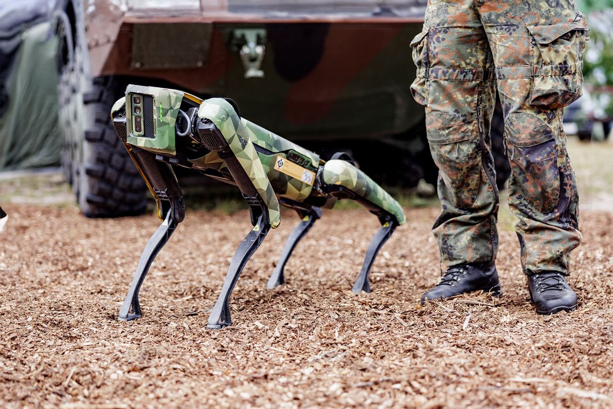 A multifunctional robot dog called "Wolfgang" of the German Armed Forces (Bundeswehr) is pictured during the its presentation on July 11, 2022 in Munster, northwestern Germany. (AXEL HEIMKEN/AFP via Getty Images)