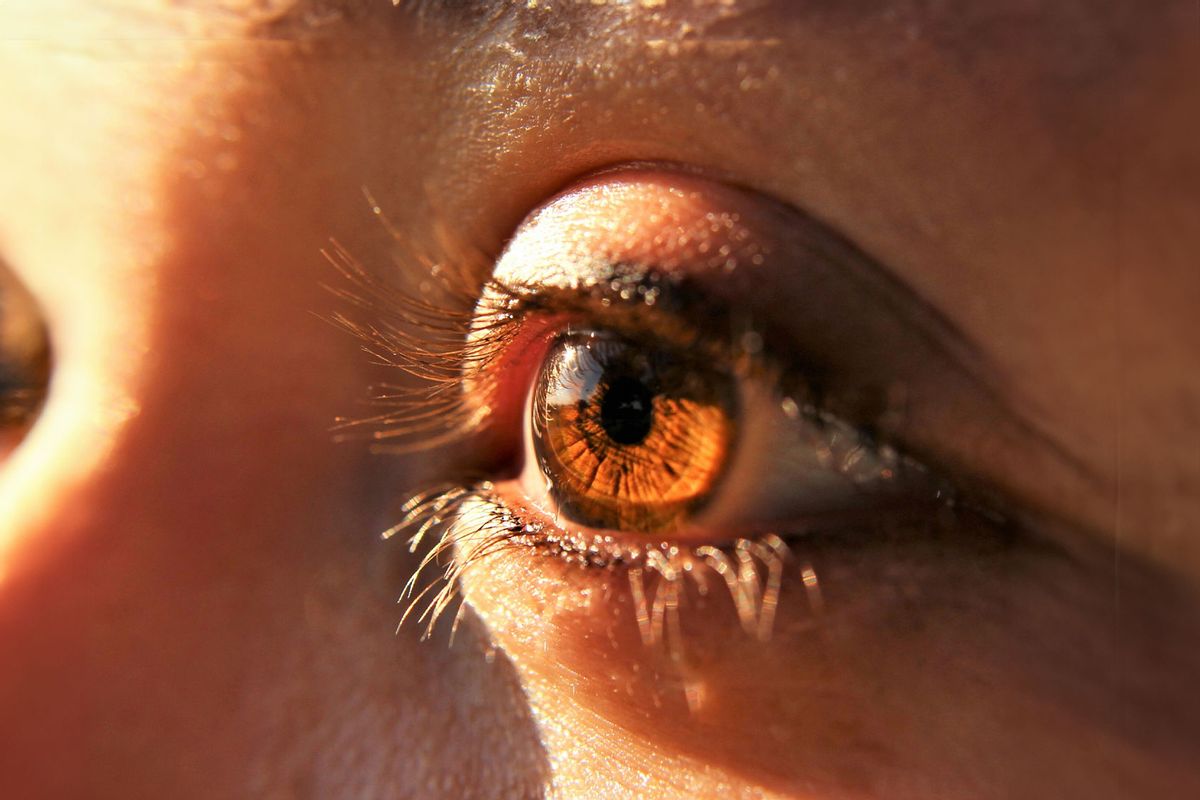 Brown Eye, close-up  (Getty Images / Lora Owens / FOAP)