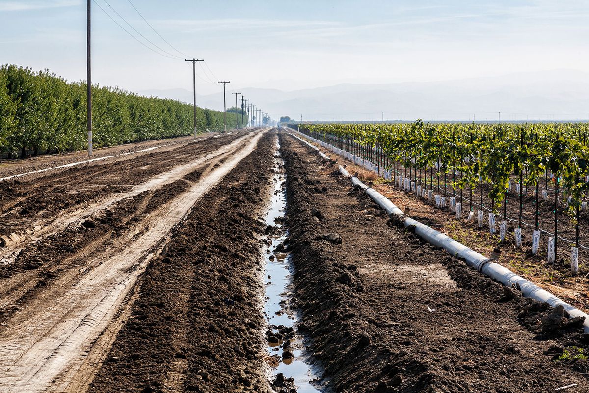 Irrigation ditch running next to vineyard and almond orchard in Fresno County, San Joaquin Valley, California. (Citizens of the Planet/Education Images/Universal Images Group via Getty Images)