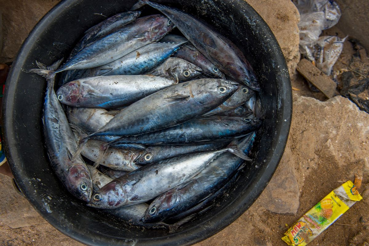 Fresh fish on beach below Cape Coast Castle near Elmina, Ghana. (Wolfgang Kaehler/LightRocket via Getty Images)