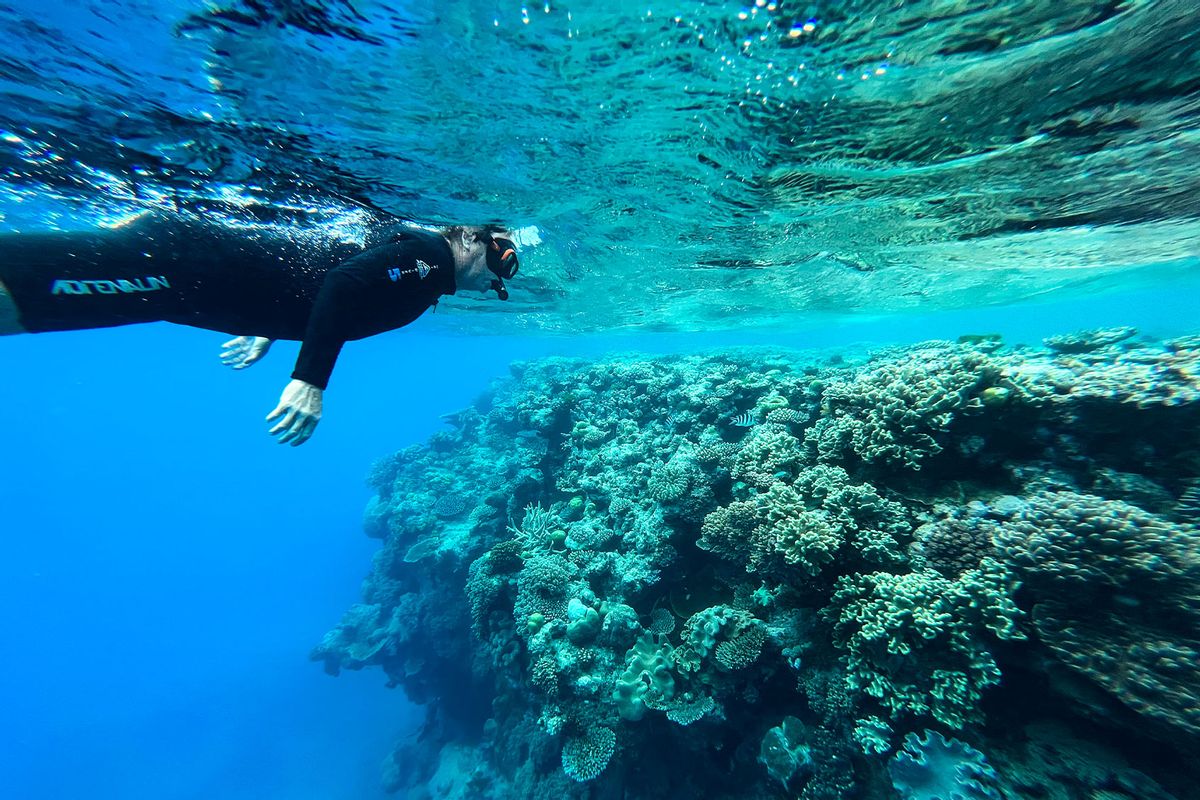 Alan Wallish inspects a coral head along the Great Barrier Reef on August 10, 2022 on Hastings Reef, Australia. Bleaching events and global warming have done significant damage to the Great Barrier Reef. (Michael Robinson Chavez/The Washington Post via Getty Images)
