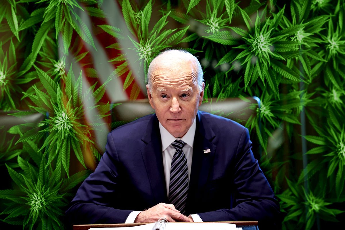 Joe Biden | Marijuana (Photo illustration by Salon/Getty Images)