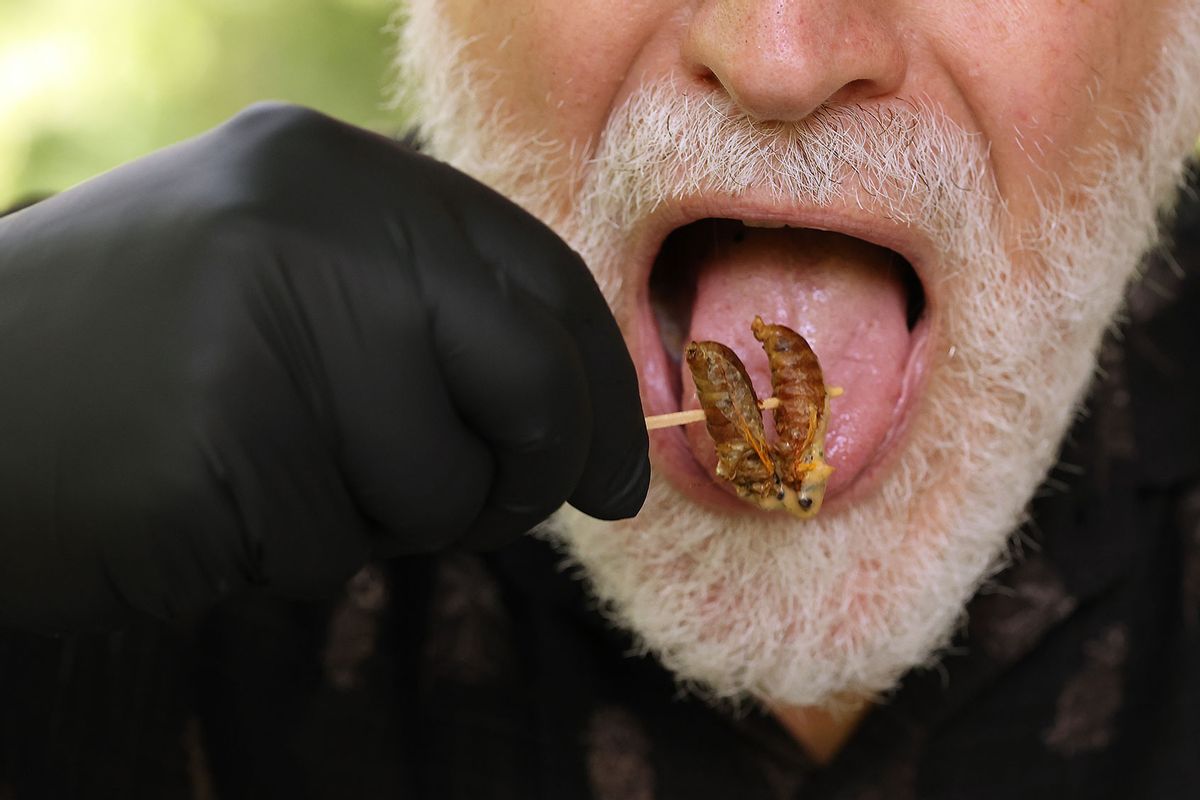 A man samples some of the cicadas he grilled during Cicadafest at Dr. Jim Duke's Green Farmacy Garden on May 22, 2021 in Fulton, Maryland.  (Chip Somodevilla/Getty Images)