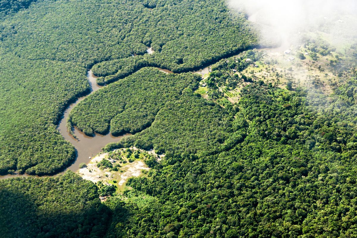 A small river meanders through the Amazon rainforest. The world's largest tropical rainforest is crisscrossed by thousands of rivers. (Jens Büttner/picture alliance via Getty Images)