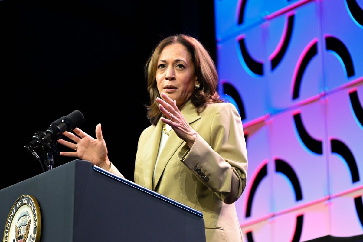 Vice President of the United States Kamala Harris delivers remarks during a campaign event at the Asian and Pacific Islander American Vote Presidential Town Hall in Philadelphia, Pennsylvania, United States on July 13, 2024. (Kyle Mazza/Anadolu via Getty Images)