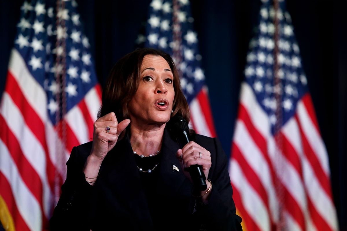 US Vice President Kamala Harris speaks at a moderated conversation with former Trump administration national security official Olivia Troye and former Republican voter Amanda Stratton on July 17, 2024 in Kalamazoo, Michigan. (Chris duMond/Getty Images)