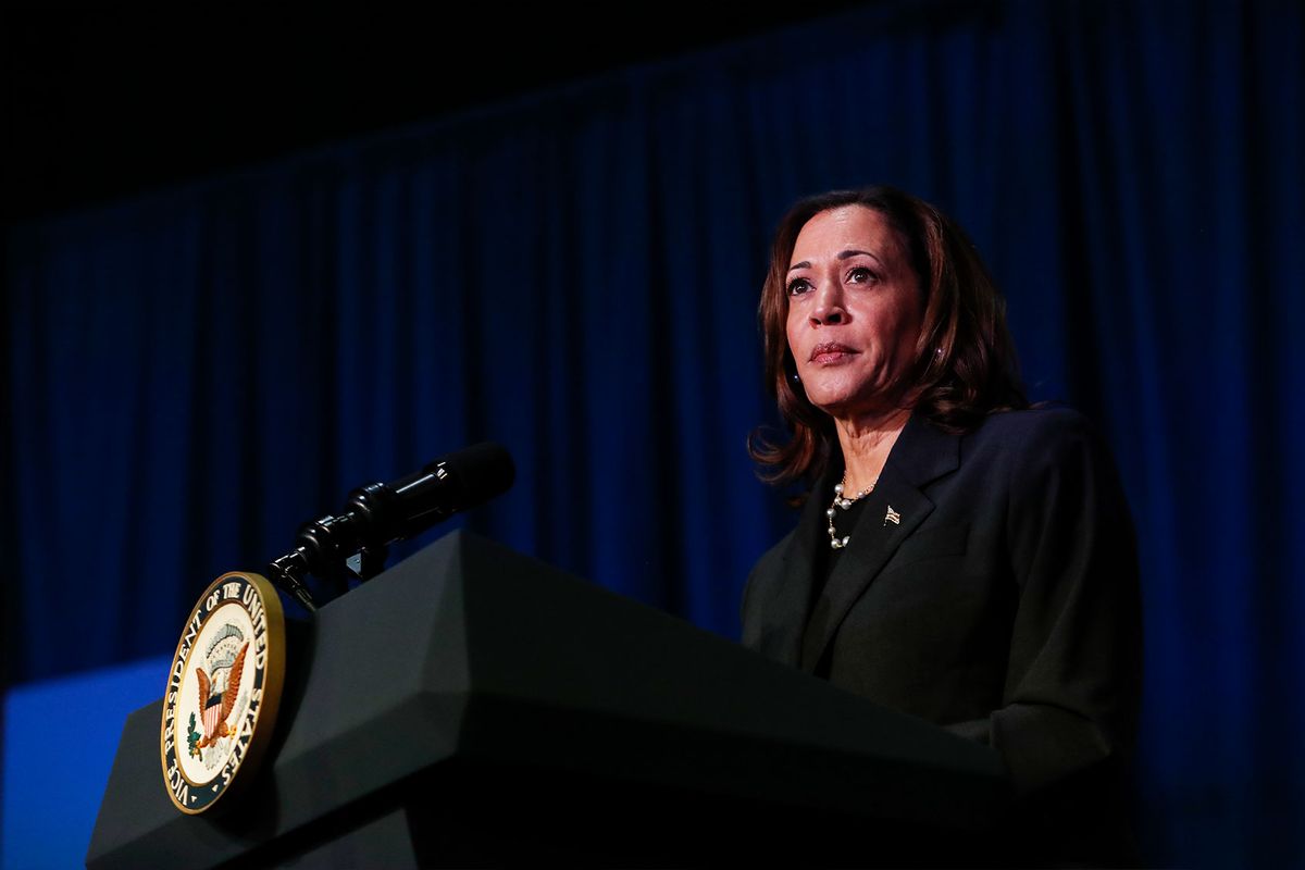 Vice President Kamala Harris makes remarks before a moderated conversation with former Trump administration national security official Olivia Troye and former Republican voter Amanda Stratton on July 17, 2024 in Kalamazoo, Michigan. (Chris duMond/Getty Images)