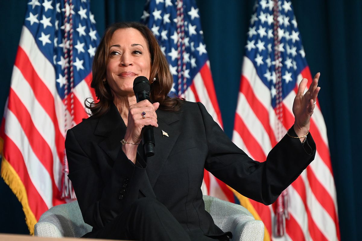 Vice President Kamala Harris in Portage, Michigan, July 17, 2024.
 (Kyle Mazza/Anadolu via Getty Images)