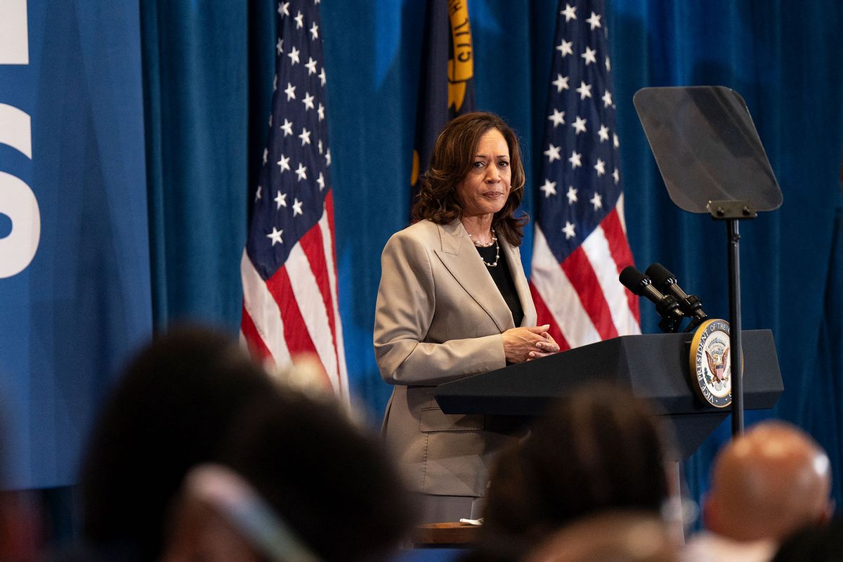 US Vice President Kamala Harris speaks during a campaign event at Westover High School in Fayetteville, North Carolina, on July 18, 2024. (ALLISON JOYCE/AFP via Getty Images)