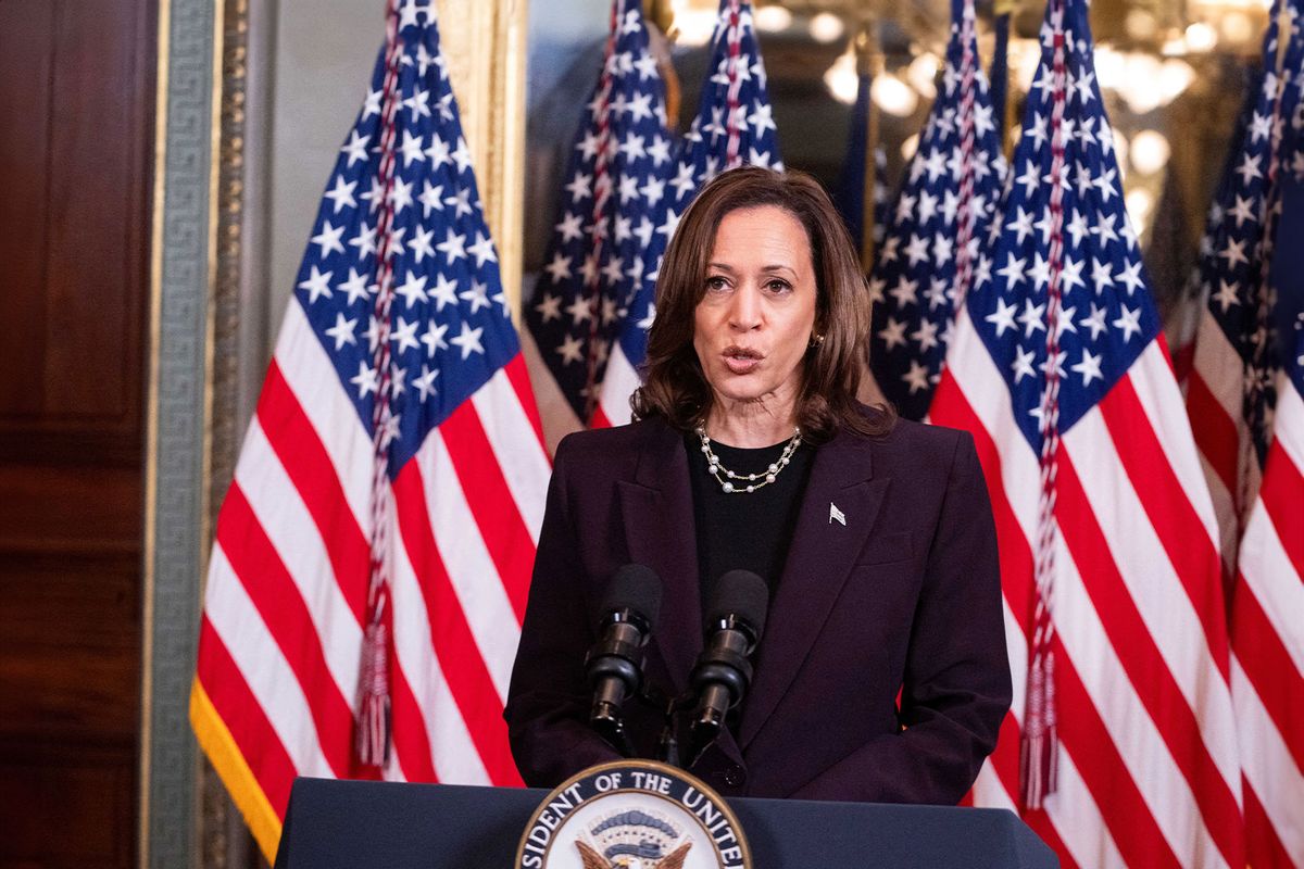 US Vice President Kamala Harris speaks to the press after meeting with Israeli Prime Minister Benjamin Netanyahu in the Vice President's ceremonial office at the Eisenhower Executive Office Building in Washington, DC, on July 25, 2024. (ROBERTO SCHMIDT/AFP via Getty Images)