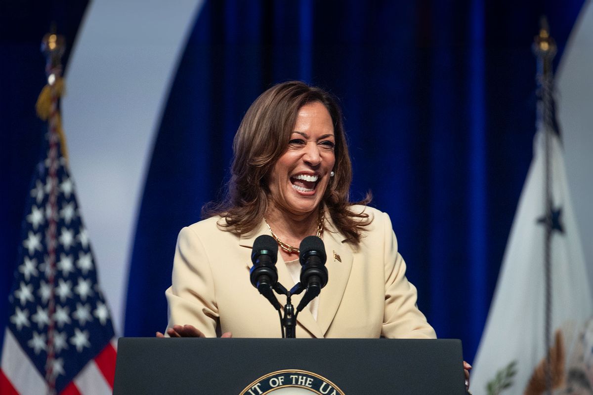 Vice President Kamala Harris speaks to the Zeta Phi Beta Sorority Grand Boule at the Indiana Convention Center on July 24, 2024 in Indianapolis, Indiana. (Scott Olson/Getty Images)