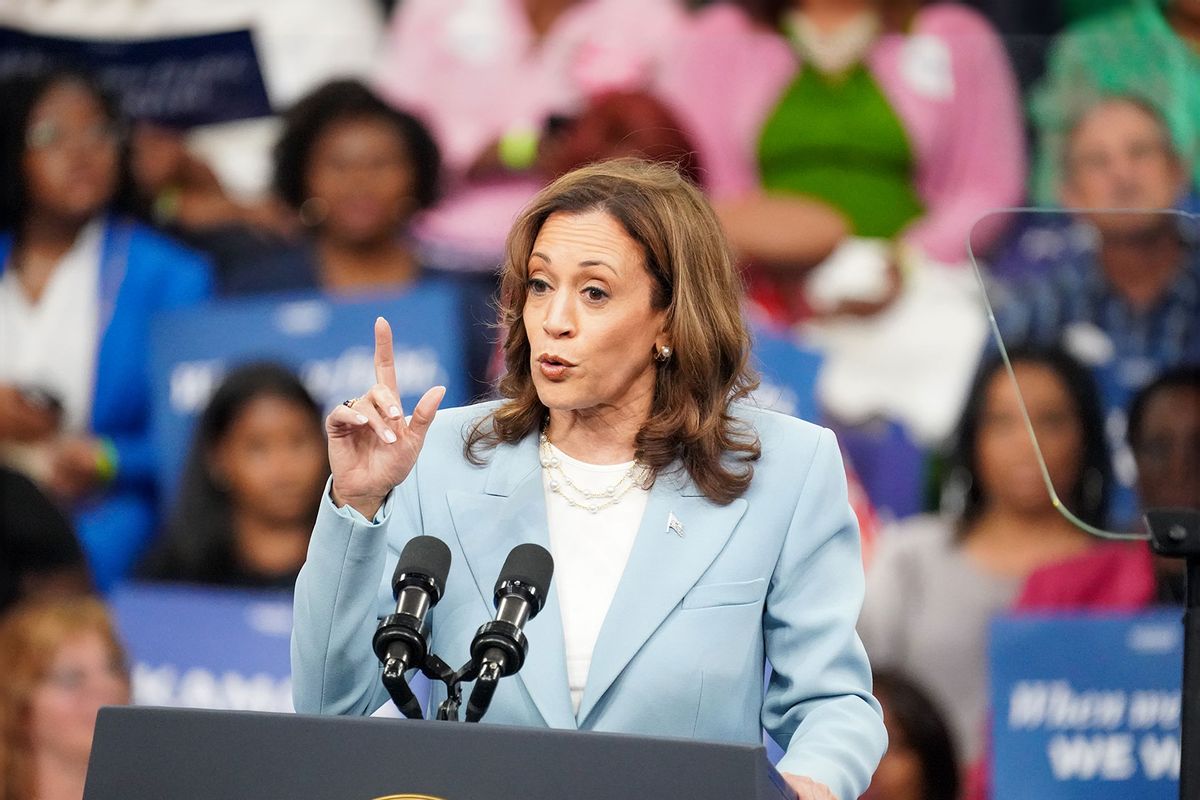 Democratic presidential candidate, U.S. Vice President Kamala Harris speaks onstage at her campaign rally at the Georgia State Convocation Center on July 30, 2024 in Atlanta, Georgia. (Julia Beverly/Getty Images)