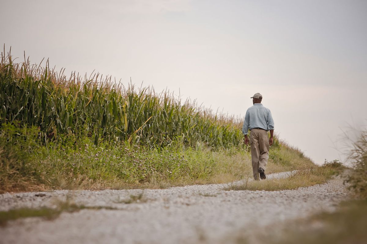 Farmer walking along road by field (Getty Images/John Fedele)