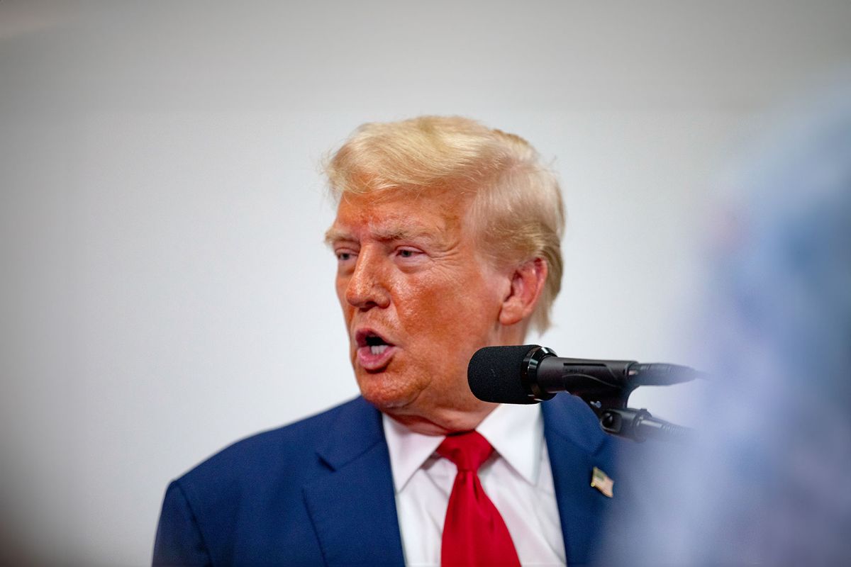 Republican presidential nominee, former U.S. President Donald Trump speaks at Trump Force 47 campaign headquarters on August 26, 2024 in Roseville, Michigan. (Emily Elconin/Getty Images)