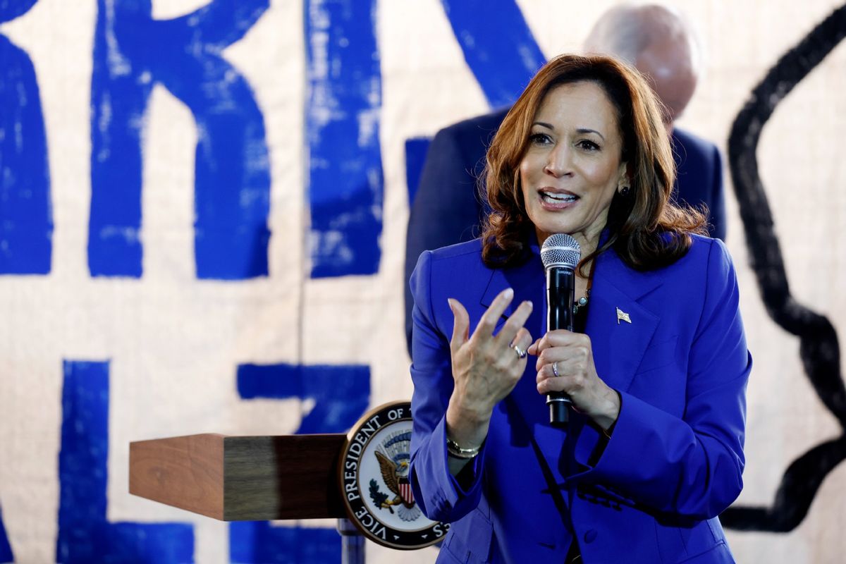 Democratic presidential candidate, U.S. Vice President Kamala Harris speaks at a campaign canvass kickoff event at a Beaver County Field Office on August 18, 2024 in Rochester, Pennsylvania. (Anna Moneymaker/Getty Images)