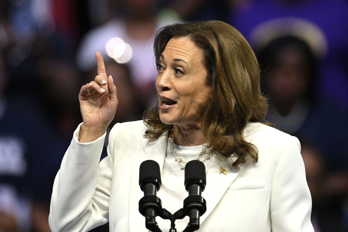 Vice President and presidential candidate Kamala Harris speaks at a campaign rally in Savannah GA, United States on August 29, 2024  (Peter Zay/Anadolu via Getty Images)