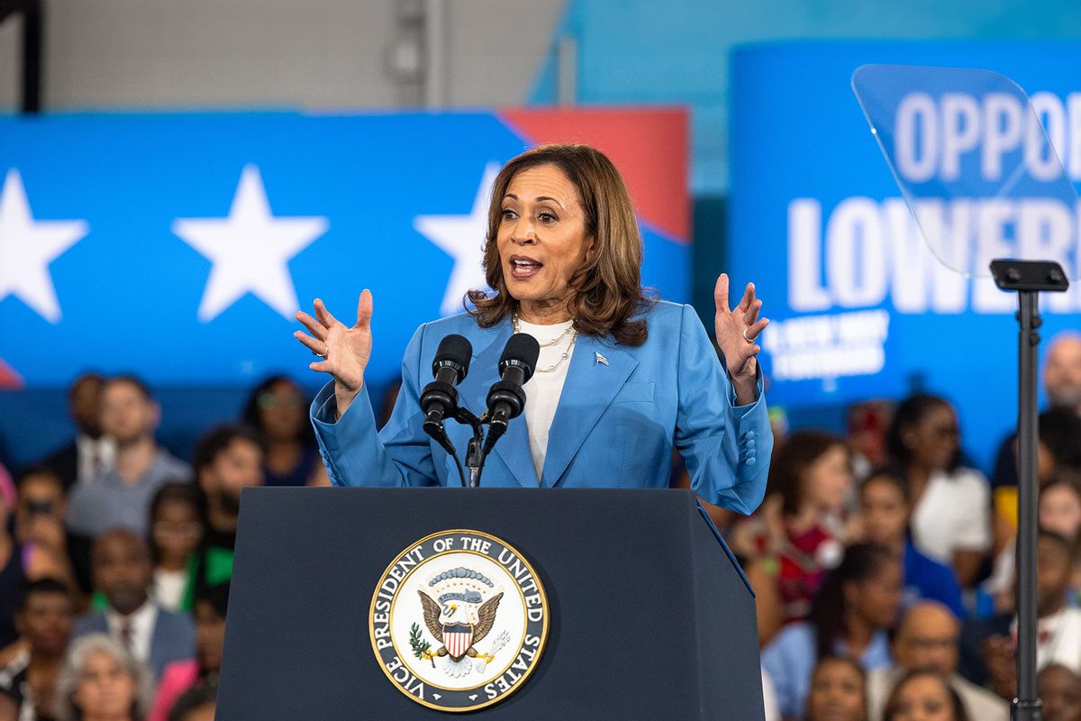 Democratic U.S. presidential candidate Vice President Kamala Harris speaks on her policy platform, including improving the cost of living for all Americans, at the Hendrick Center For Automotive Excellence on August 16, 2024 in Raleigh, North Carolina. (Grant Baldwin/Getty Images)