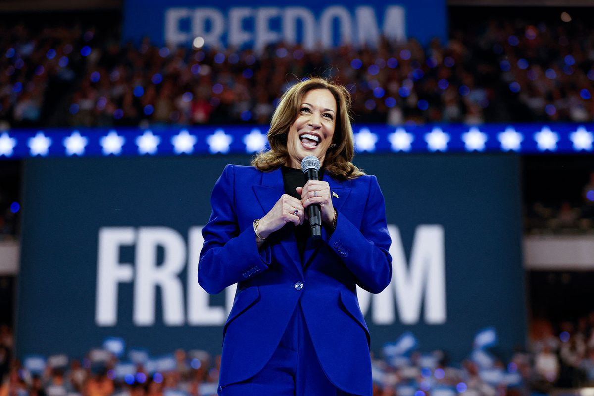 The power of Kamala Harris' simple DNC message: Freedom is what normal Americans want