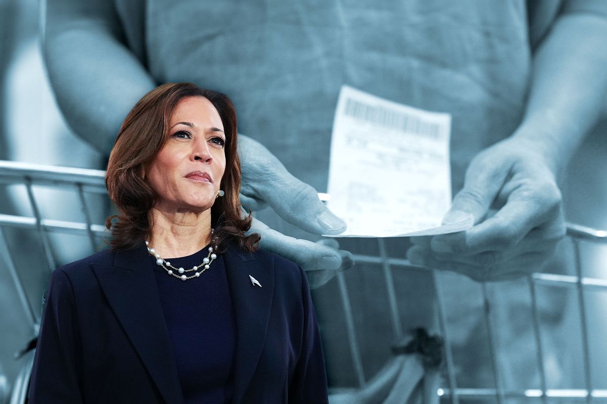 Kamala Harris | Close up hands of woman checking prices of groceries on her receipt (Photo illustration by Salon/Getty Images)