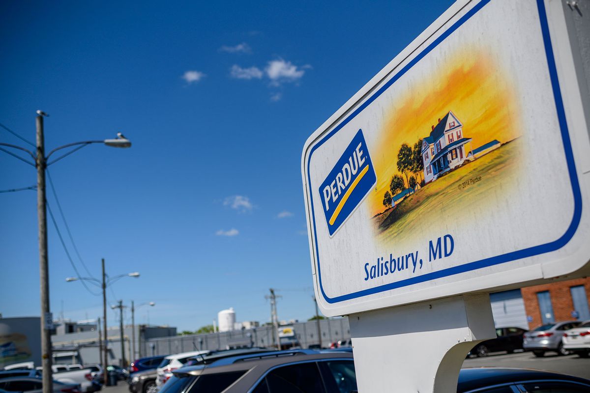 Employee cars are seen on the parking lot outside the Perdue Farms Chicken and poultry processing factory in Salisbury, Maryland, in May 2, 2020. (ERIC BARADAT/AFP via Getty Images)