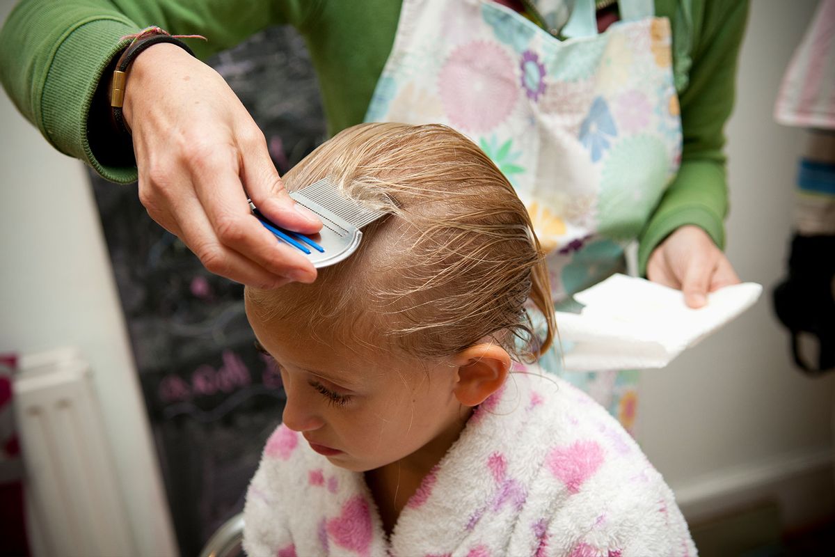 Small girl having a lice nit treatment (Getty Images/Richard Bailey)