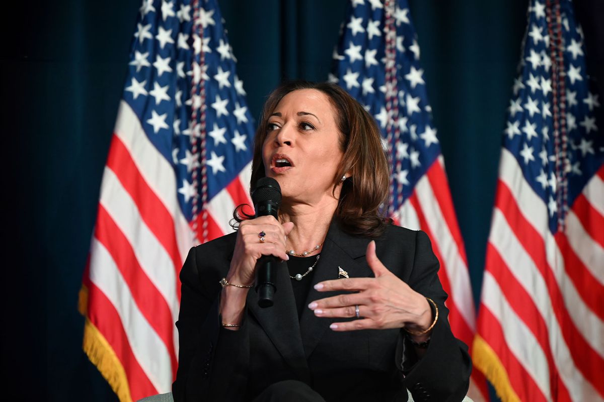 Vice President of the United States Kamala Harris participates in a discussion with former Trump-Pence administration official Olivia Troye (not seen) and Amanda Stratton (not seen) in Portage, Michigan, United States on July 17, 2024. (Kyle Mazza/Anadolu via Getty Images)