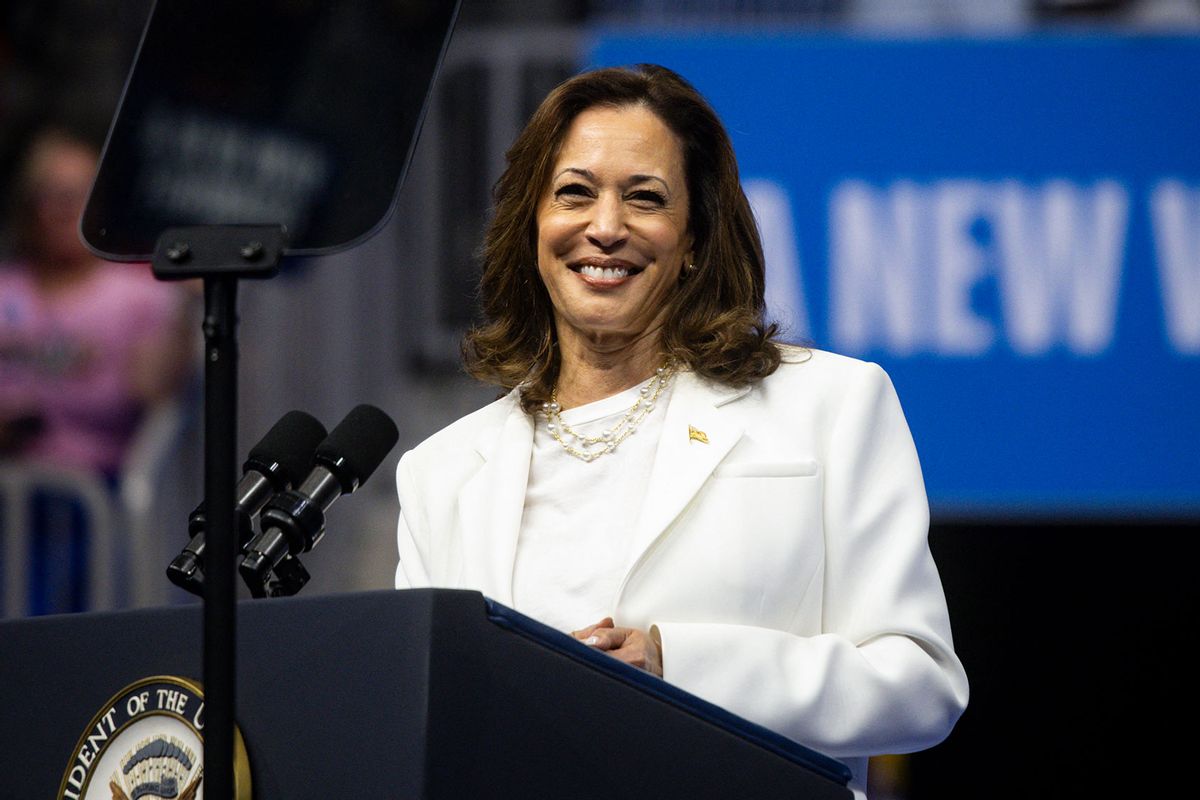 Democratic presidential candidate US Vice President Kamala Harris speaks at a campaign rally at Enmarket Arena during a two-day campaign bus tour in Savannah, Georgia, on August 29, 2024. (CHRISTIAN MONTERROSA/AFP via Getty Images)