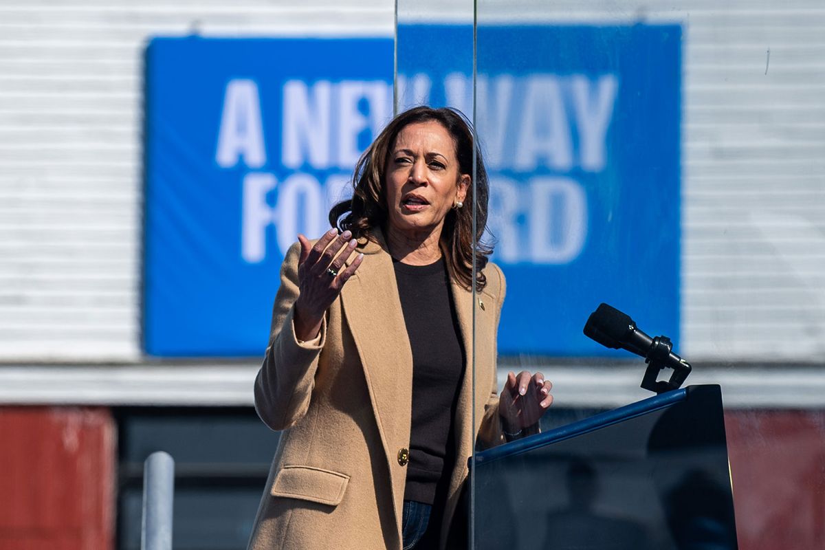 Vice President Kamala Harris speaks during a campaign rally at Throwback Brewery in North Hampton, N.H. (Kylie Cooper for The Washington Post via Getty Images)