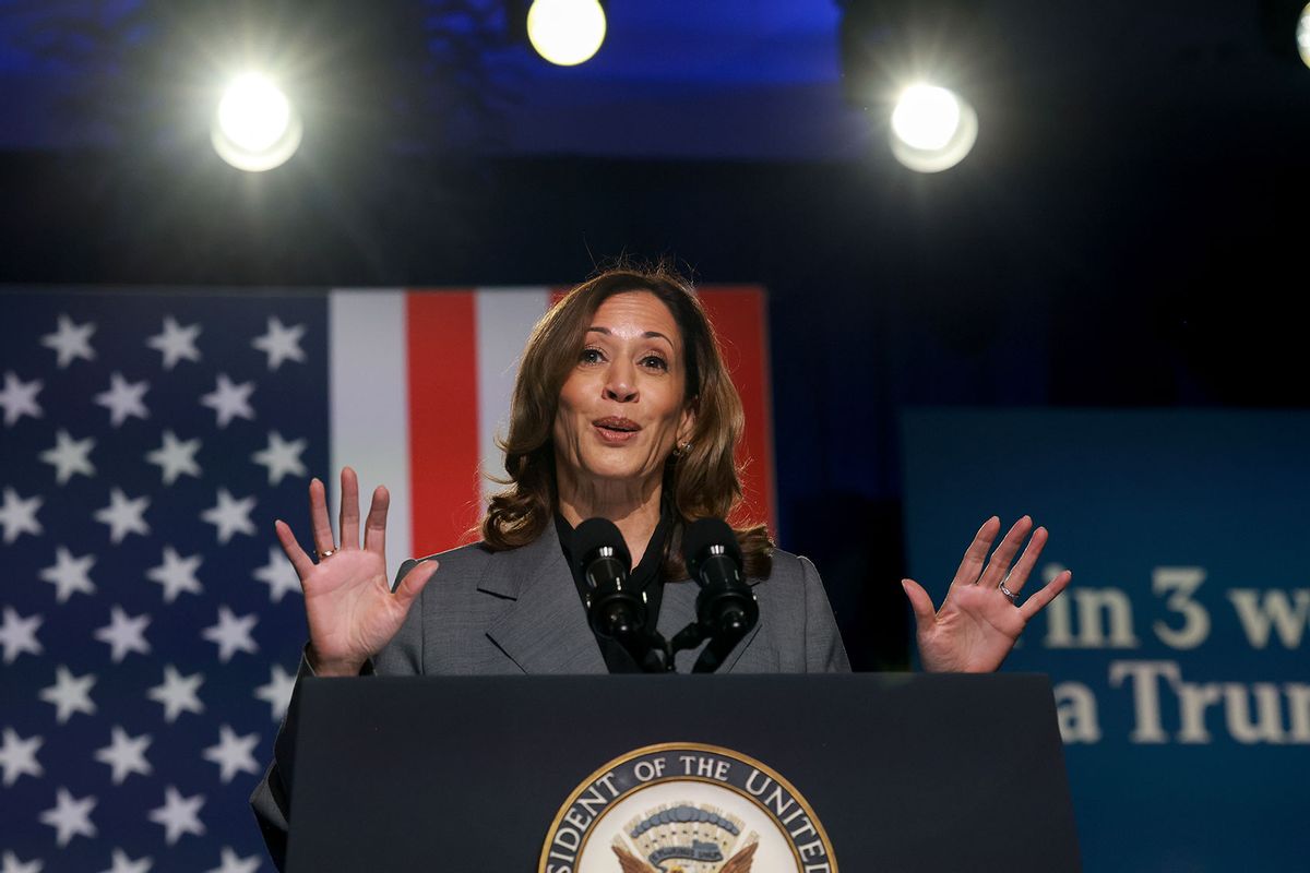 Democratic presidential nominee, U.S. Vice President Kamala Harris, speaks during an event at the Cobb Energy Performing Arts Centre on September 20, 2024, in Atlanta, Georgia. (Joe Raedle/Getty Images)