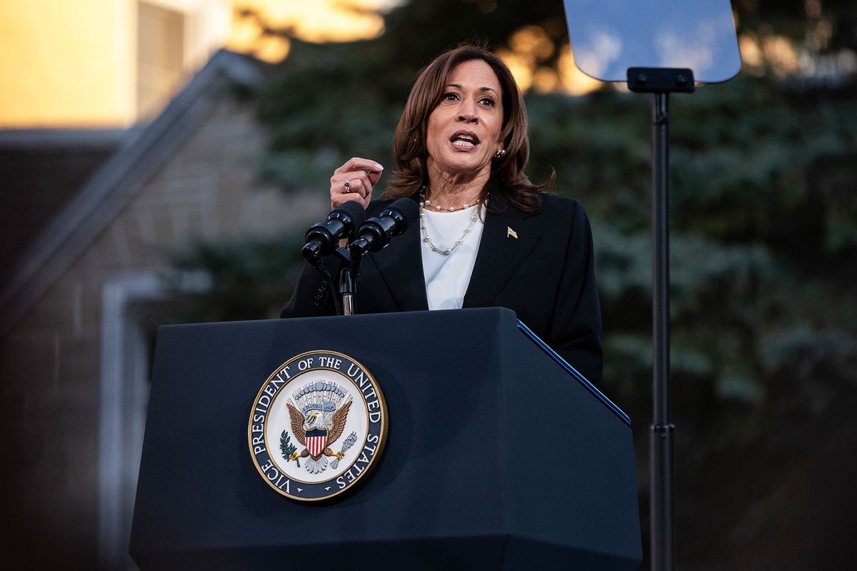 Vice President and Democratic Presidential nominee Kamala Harris speaks during a rally at Ripon College on October 3, 2024 in Ripon, Wisconsin. (Jim Vondruska/Getty Images)