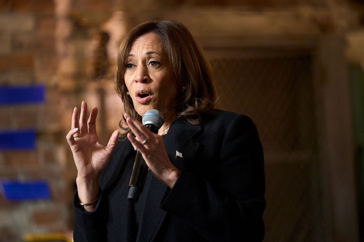 Democratic presidential nominee, Vice President Kamala Harris speaks during a campaign rally at Erie Insurance Arena on October 14, 2024 in Erie, Pennsylvania. (Michael M. Santiago/Getty Images)