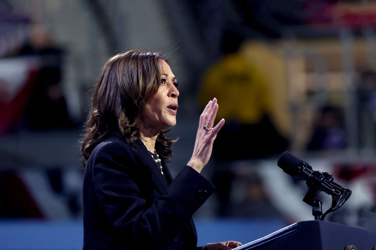 Democratic presidential nominee, Vice President Kamala Harris speaks during a campaign rally at Erie Insurance Arena on October 14, 2024 in Erie, Pennsylvania. (Michael M. Santiago/Getty Images)