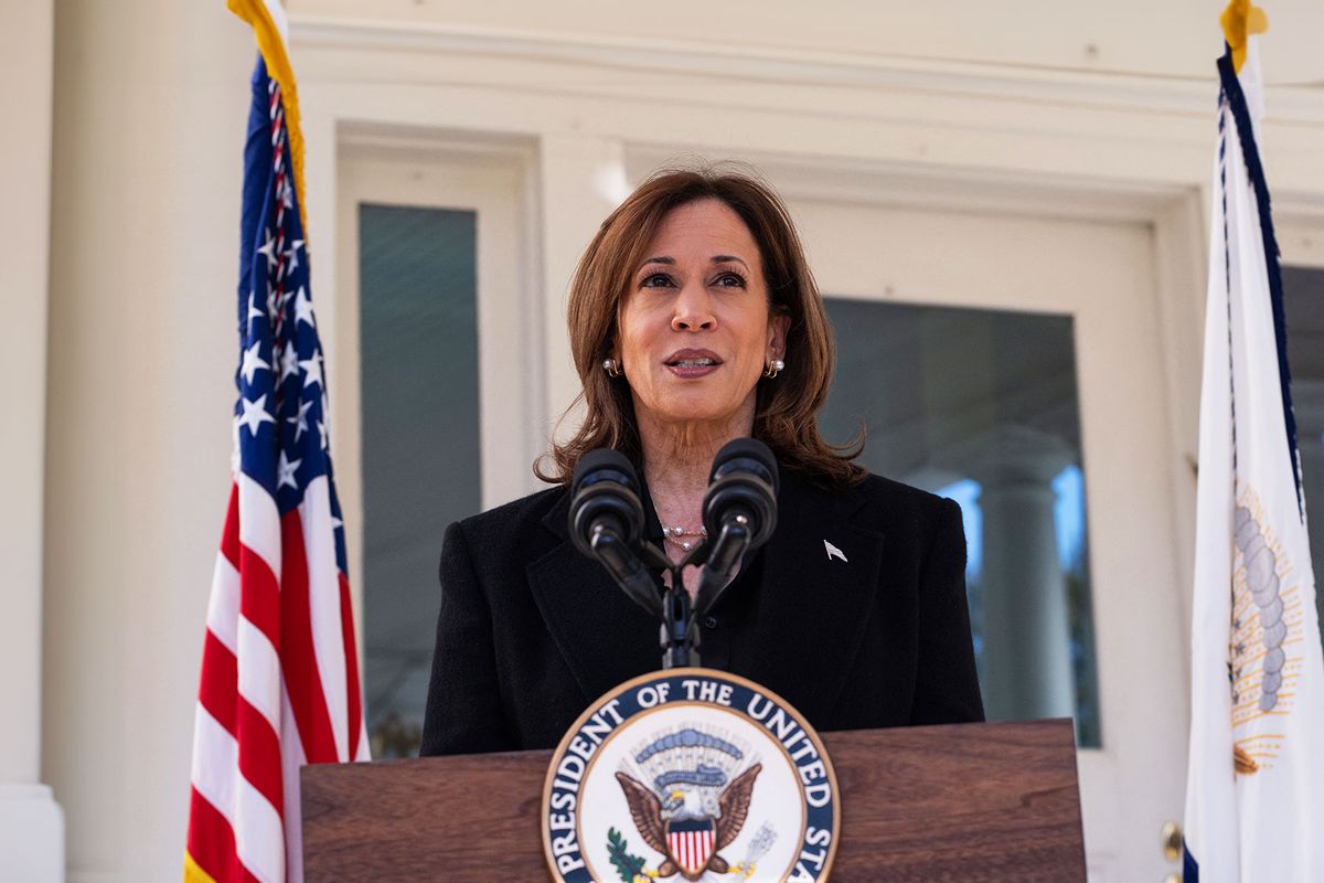 US Vice President and Democratic presidential nominee Kamala Harris speaks at the Naval Observatory in Washington, DC, on October 23, 2024. (ROBERTO SCHMIDT/AFP via Getty Images)