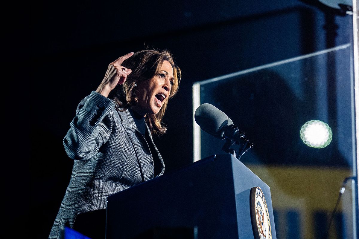 Democratic Presidential Nominee Vice President Kamala Harris speaks to and meets Michigan voters during a rally at Burns Park in Ann Arbor, Michigan on Monday October 28, 2024. (Melina Mara/The Washington Post via Getty Images)