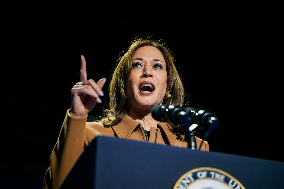 Democratic presidential nominee, U.S. Vice President Kamala Harris, speaks during a campaign rally at the Wings Event Center on October 26, 2024 in Kalamazoo, Michigan. (Brandon Bell/Getty Images)