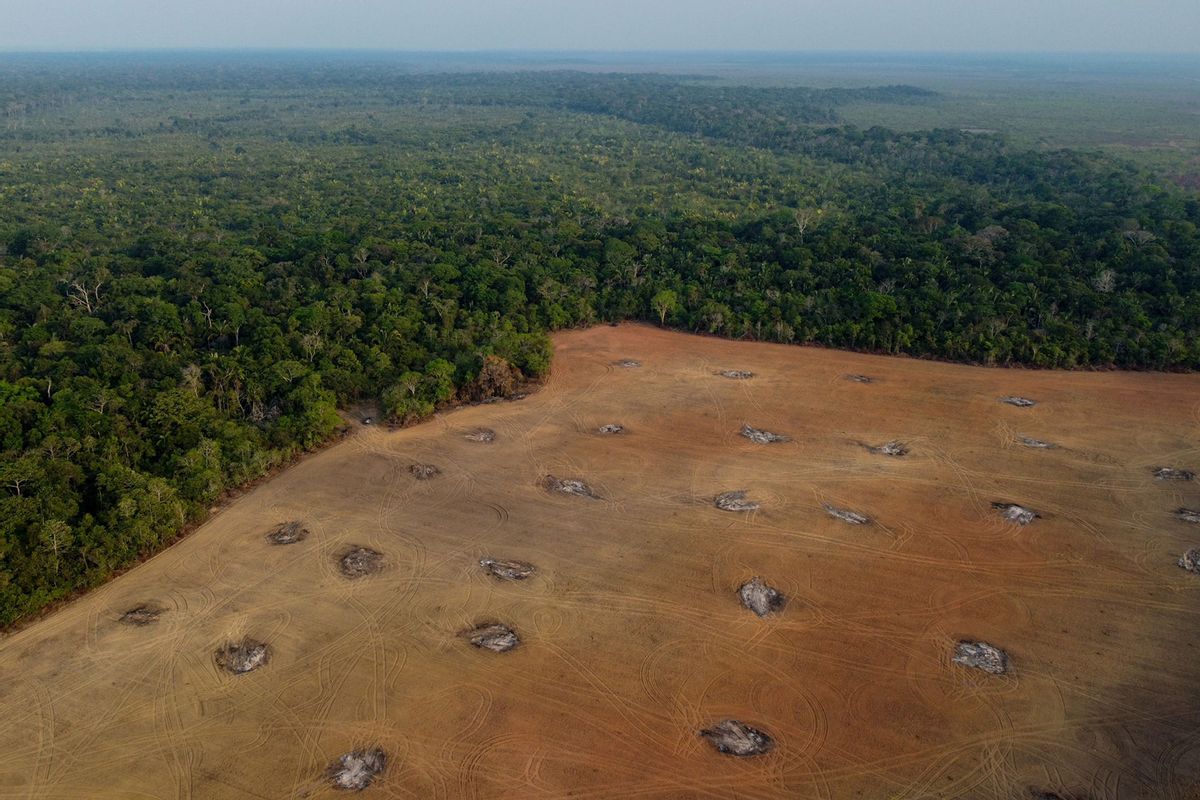 Aerial view of a deforested area of the Amazonia rainforest in the surroundings of the BR-319 highway at the city of Humaita, Amazonas state, Brazil, on September 15, 2022. (MICHAEL DANTAS/AFP via Getty Images)