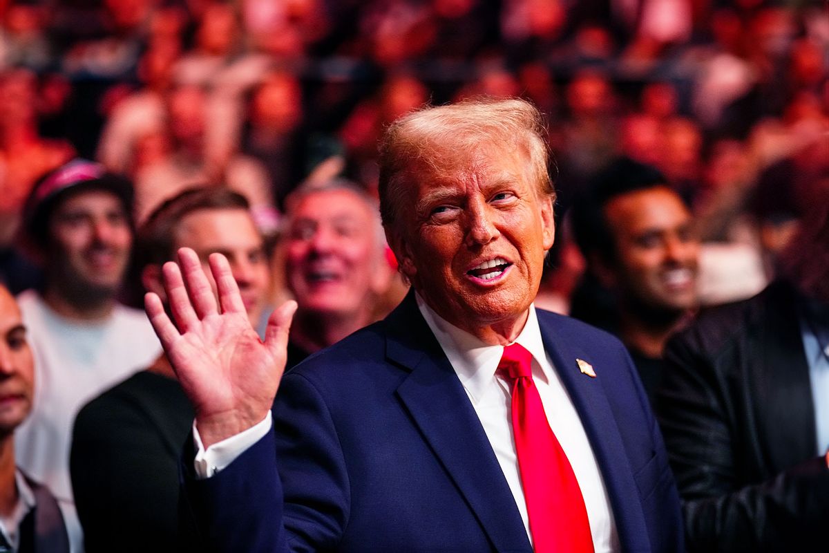 President-elect Donald Trump looks on during the UFC 309 event at Madison Square Garden on November 16, 2024 in New York City. (Chris Unger/Zuffa LLC/Getty Images)