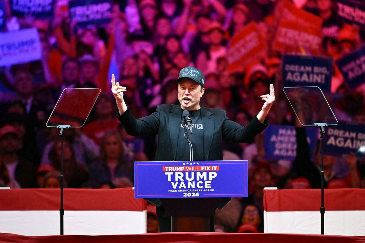 Tesla and SpaceX CEO Elon Musk speaks at a rally for former US President and Republican presidential candidate Donald Trump at Madison Square Garden in New York, October 27, 2024. (ANGELA WEISS/AFP via Getty Images)