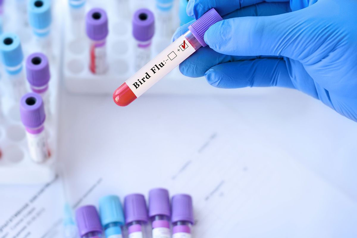 Doctor holding a test blood sample tube positive with Bird Flu test (Getty Images/SyhinStas)