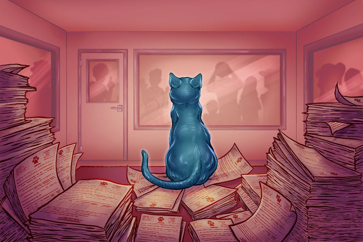 The Trouble With Cat Adoption (Illustration by Ilana Lidagoster/Salon)