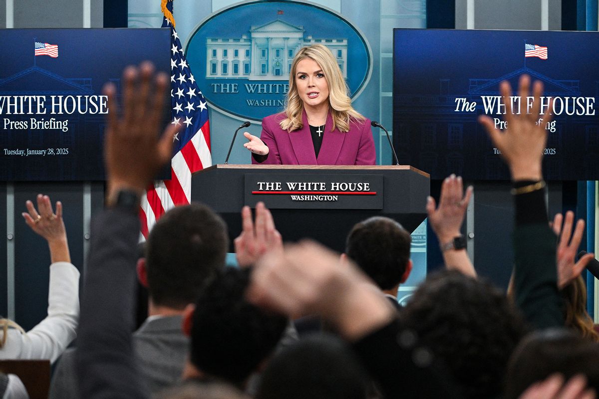 White House Press Secretary Karoline Leavitt takes questions during the daily briefing in the Brady Briefing Room of the White House in Washington, DC, on January 28, 2025. (ROBERTO SCHMIDT/AFP via Getty Images)